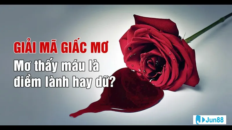 Máu là biểu hiện của sự đau khổ Máu là biểu hiện của sự đau khổ