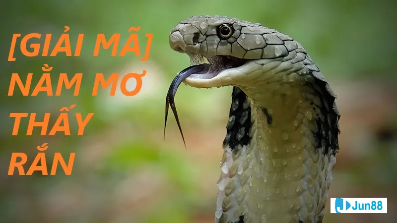 Minh họa cho Ý nghĩa của việc mơ Minh họa cho Ý nghĩa của việc mơ